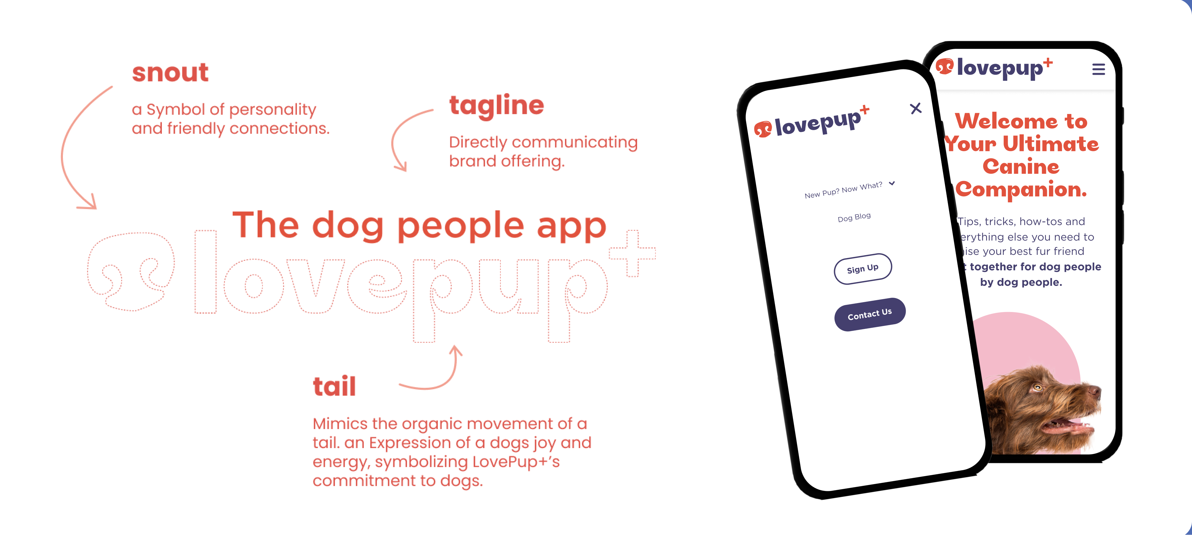 Brand elements created during the branding process.